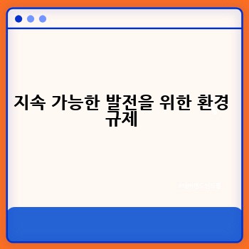 지속 가능한 발전을 위한 환경 규제