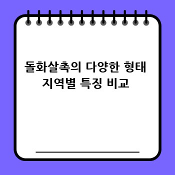돌화살촉의 다양한 형태 지역별 특징 비교