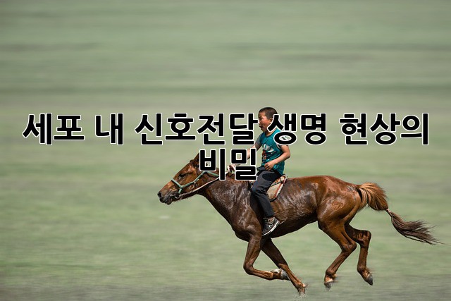 세포 내 신호전달: 생명 현상의 비밀