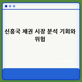 신흥국 채권 시장 분석 기회와 위험