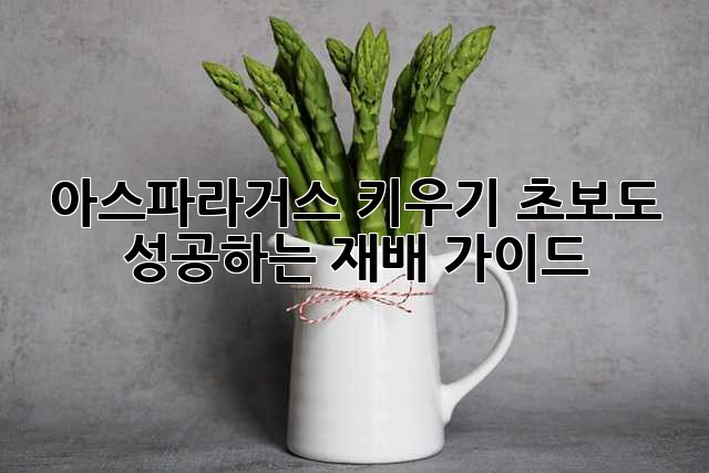 아스파라거스 키우기: 초보도 성공하는 재배 가이드