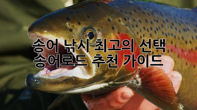 송어 낚시 최고의 선택! 송어로드 추천 가이드