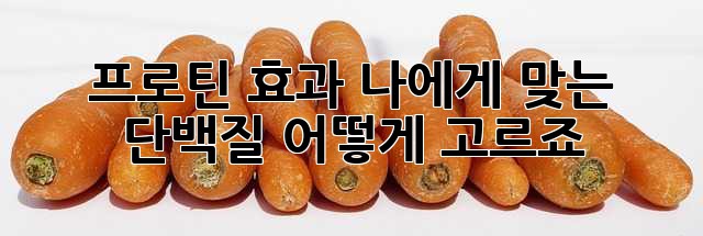 프로틴 효과: 나에게 맞는 단백질, 어떻게 고르죠?