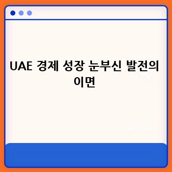 UAE 경제 성장 눈부신 발전의 이면