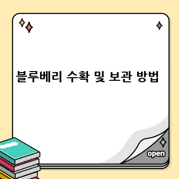 블루베리 수확 및 보관 방법