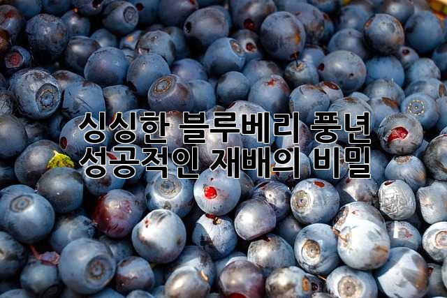 싱싱한 블루베리 풍년, 성공적인 재배의 비밀!