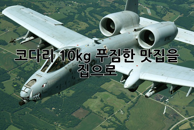 코다리 10kg: 푸짐한 맛집을 집으로!