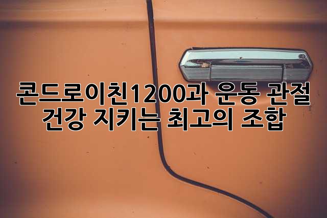 콘드로이친1200과 운동: 관절 건강 지키는 최고의 조합!