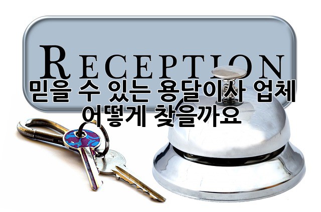 믿을 수 있는 용달이사 업체, 어떻게 찾을까요?
