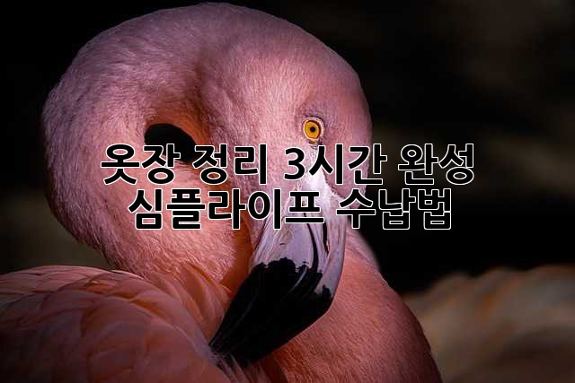 옷장 정리 3시간 완성! 심플라이프 수납법