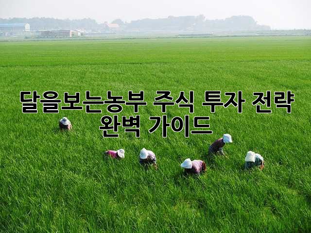 달을보는농부 주식 투자 전략 완벽 가이드