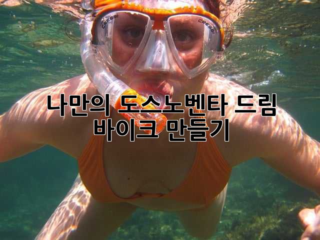 나만의 도스노벤타 드림 바이크 만들기