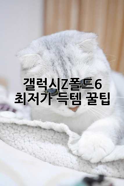 갤럭시Z폴드6 최저가 득템 꿀팁!